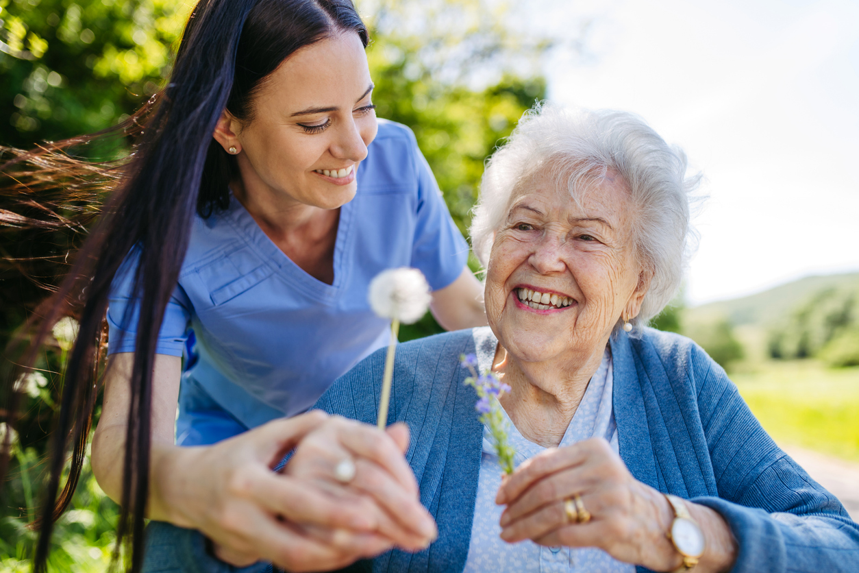 Female caregiver and senior woman in wheelchair holding dandelion, picking wild flowers. Nurse and elderly woman enjoying a warm day in nursing home, public park.